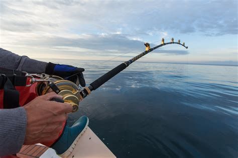 a fishing rod|Fishing Rods .